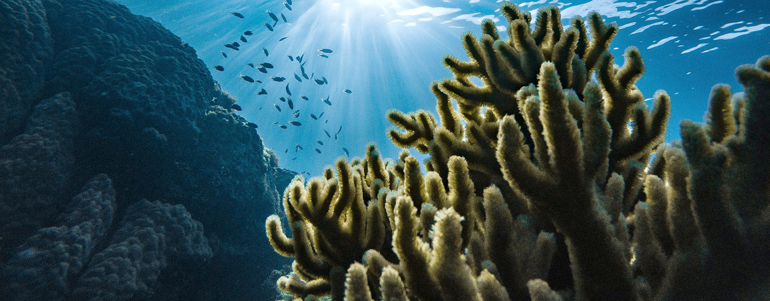 4008云顶集团中水回用、陶瓷膜、石墨烯膜、黑金膜公家号，迎接您扫码关注！