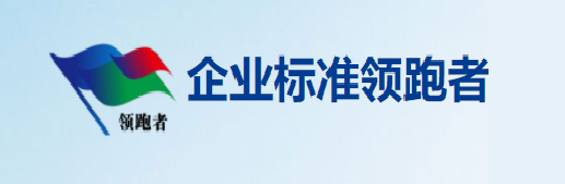 4008云顶集团(国际)股份有限公司