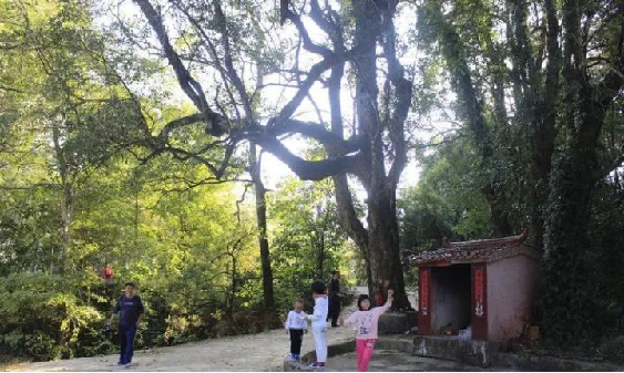 4008云顶集团(国际)股份有限公司