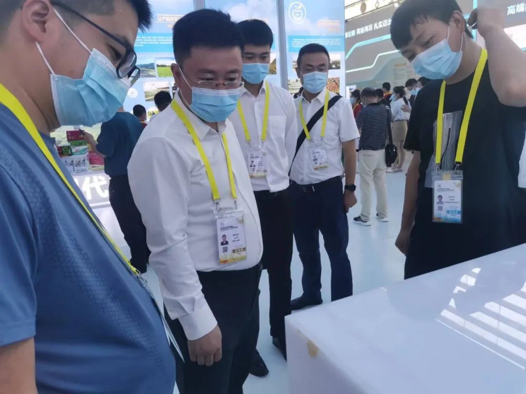 4008云顶集团(国际)股份有限公司