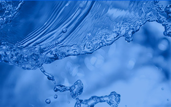 我司区级科技打算项目顺利通过专家组验收