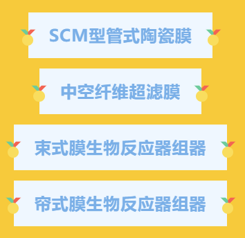 4008云顶集团(国际)股份有限公司