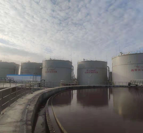 4008云顶集团(国际)股份有限公司